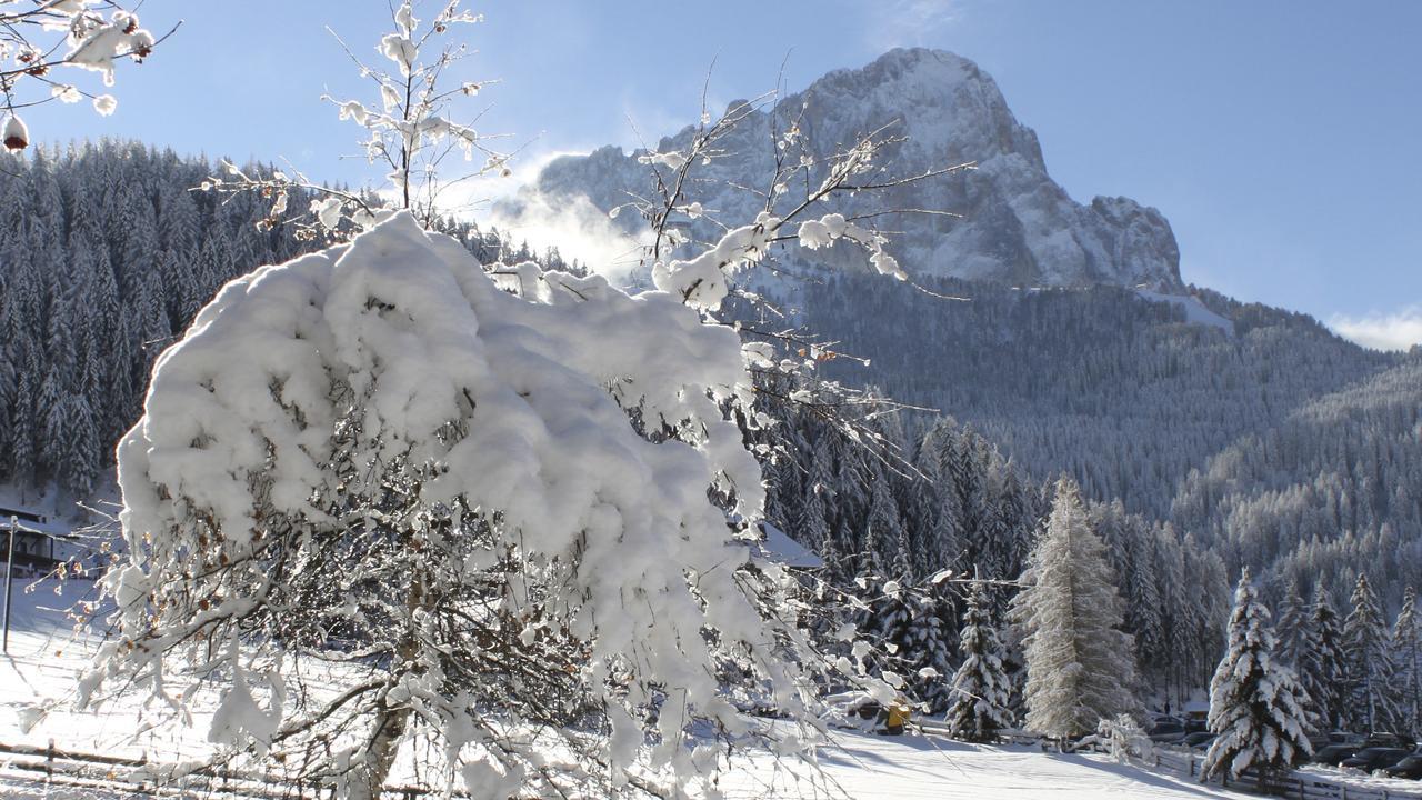Garni Hotel Rosengarten B&B Selva di Val Gardena Luaran gambar